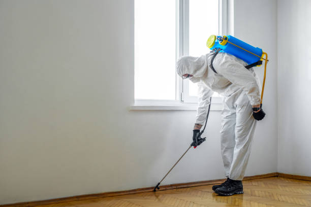Best Mosquito Control Services  in Haverford College, PA